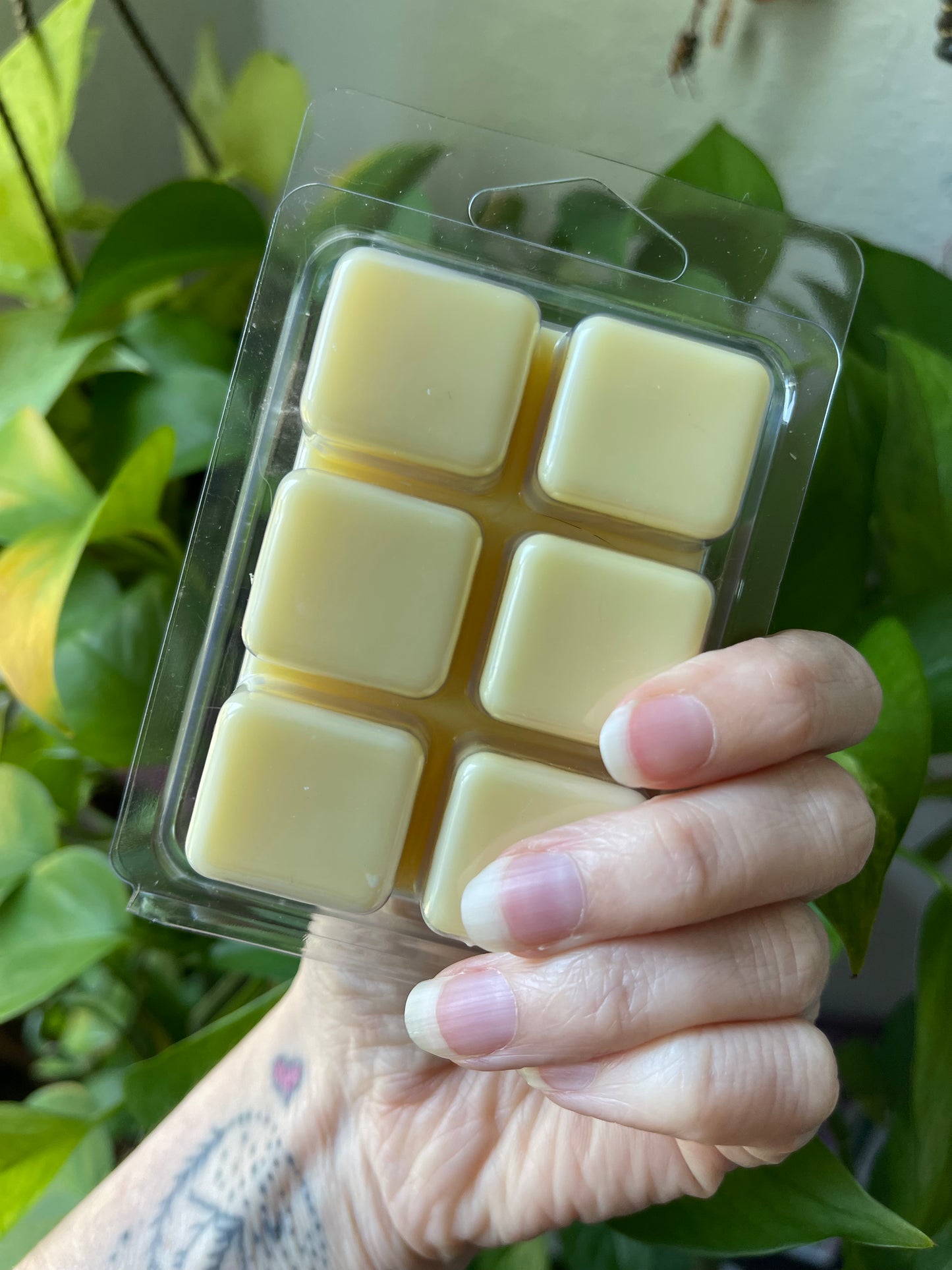 Cabin in the Woods Wax Melts